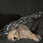 Ersteller:in Marco Profilbild