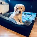 Ersteller:in Dirk Profilbild