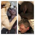 Ersteller:in Klaus Profilbild