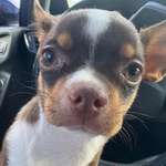 Ersteller:in Sonja Profilbild