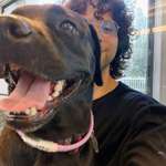 Ersteller:in Muhab Profilbild