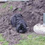 Ersteller:in Marcel Profilbild