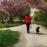 Ersteller:in Maria Profilbild