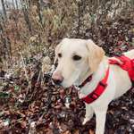 Ersteller:in stefanie Profilbild