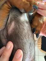 Ausschlag? Allergie?-Beitrag-Bild