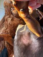 Ausschlag? Allergie?-Beitrag-Bild