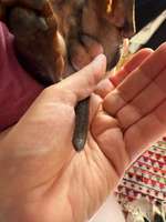 Ausschlag? Allergie?-Beitrag-Bild