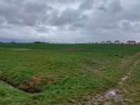 Hundeauslaufgebiet-Herrliche Laufwege-Bild