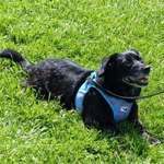 Ersteller:in Grimm Profilbild