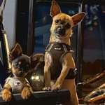 Ersteller:in Andrea Profilbild