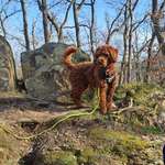 Ersteller:in Alexander Profilbild