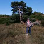 Ersteller:in Michael Profilbild