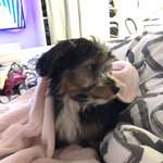 Ersteller:in Nadine Profilbild