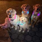 Ersteller:in Denise Profilbild