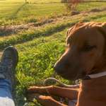 Ersteller:in Antonia Profilbild