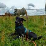 Ersteller:in Vanessa Profilbild