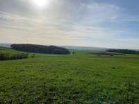 Hundeauslaufgebiet-Felder und Aussichtsbank-Bild