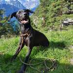 Ersteller:in Laura Profilbild