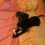 Ersteller:in Christiane Profilbild