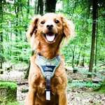 Ersteller:in Caterina Profilbild