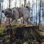 Ersteller:in Diana & Profilbild