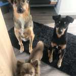 Ersteller:in Lena Profilbild