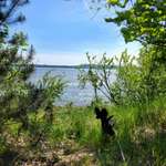 Ersteller:in Agnes Profilbild