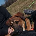 Ersteller:in manny Profilbild