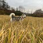 Ersteller:in Laura Profilbild