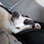 Ersteller:in Panda Profilbild