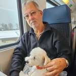 Ersteller:in André ( Balu ) Profilbild