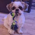 Ersteller:in Janine Profilbild