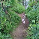 Ersteller:in Astrid Profilbild