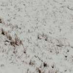 Ersteller:in Nancy Profilbild