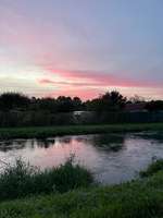 Hundeauslaufgebiet-Am Illerkanal-Bild