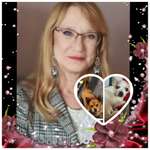 Ersteller:in Bärbel Profilbild