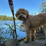 Ersteller:in Andreea Profilbild