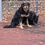 Ersteller:in Henning Profilbild