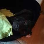 Ersteller:in Anke Profilbild