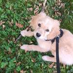 Ersteller:in Lea Profilbild