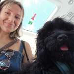 Ersteller:in Lulu Profilbild