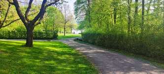 Hundeauslaufgebiet-Breitenauer see-Bild