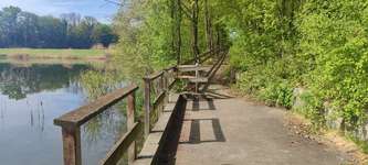 Hundeauslaufgebiet-Breitenauer see-Bild