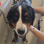 Ersteller:in Patrick Profilbild