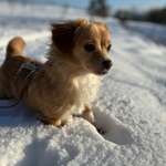 Ersteller:in Sabrina Profilbild