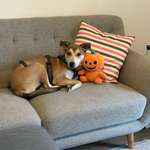 Ersteller:in Felicia Profilbild