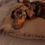 Ersteller:in Wibke Profilbild