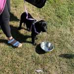 Ersteller:in Jasmin Profilbild