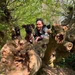 Ersteller:in Laura Profilbild