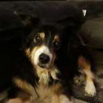 Ersteller:in Sandra Profilbild